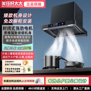 好太太家用厨房大吸力抽