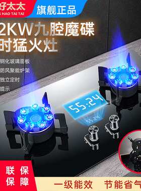 好太太牌（家电）不锈钢热电偶魔