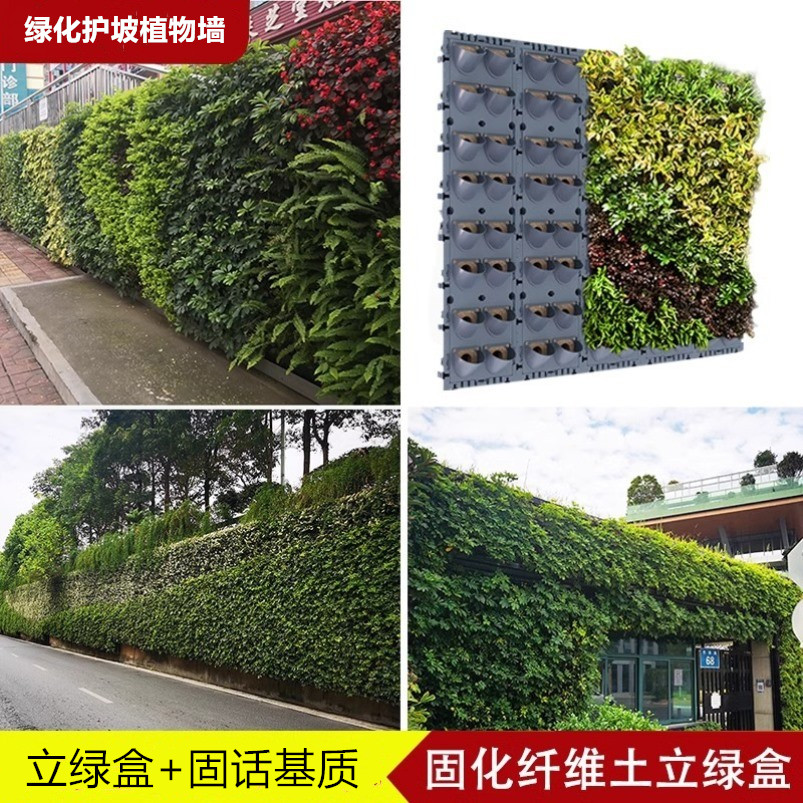 绿物墙花盆种植盒垂直立体绿化护坡植物墙垒土固化纤维土种植模块