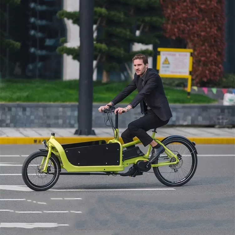 cargobike自行车接送孩子上学载人单车载货人力亲子电助力脚踏车