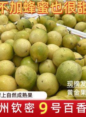 贵州钦蜜9号黄金百香果10斤新鲜水果当季甜白香果密九整箱包邮3