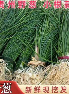 贵州野葱新鲜蔬菜深山现挖小根蒜胡葱野生葱百香葱苦蒜山菜野葱