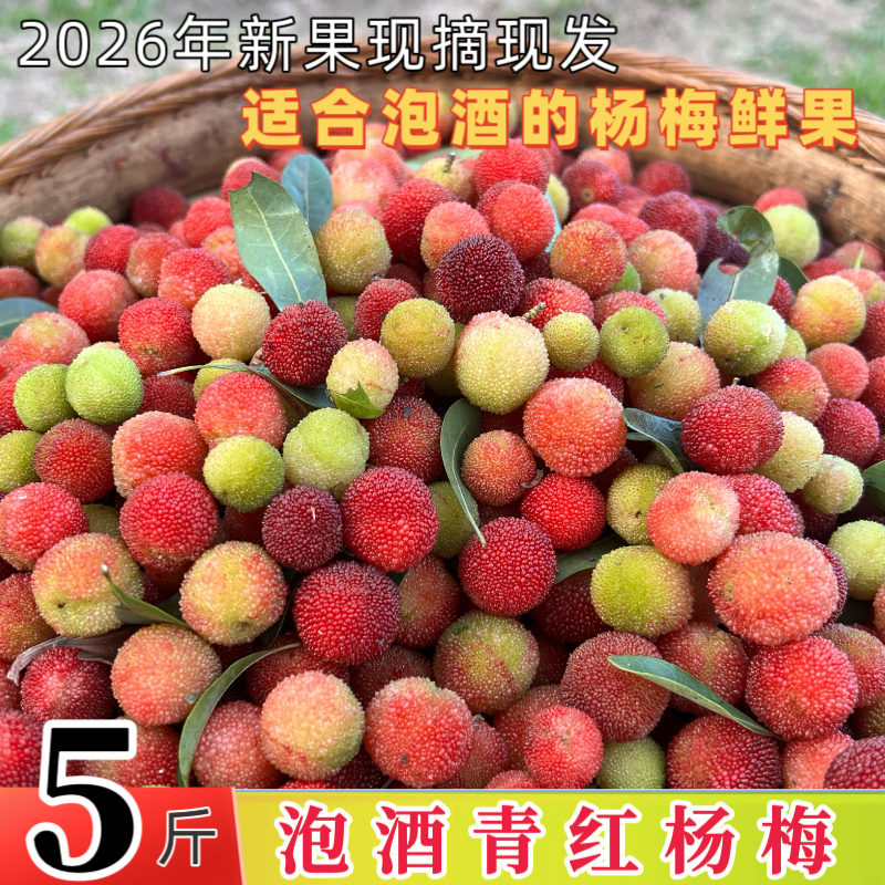 新鲜泡酒青红杨梅鲜果小土野山杨梅扬梅孕妇酸杨梅当季水果顺丰
