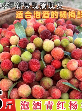 新鲜泡酒青红杨梅鲜果小土野山杨梅扬梅孕妇酸杨梅当季水果顺丰