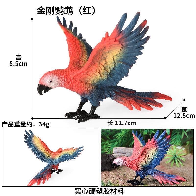 实心野生动物模型仿真展翅鹦鹉飞禽鸟类金刚鹦鹉犀鸟儿童玩具摆件