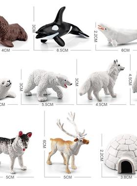 亚马逊外贸仿真白色北极动物模型兔狐白鲸驯鹿哈士奇极北极熊冰屋