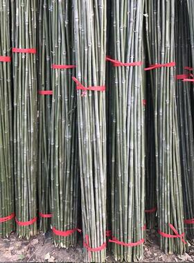 小竹竿细竹子棍1米2米菜园竹杆搭架豆角黄瓜架竹杆架种菜竹竿种苗