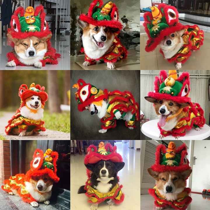 舞狮狗衣服猫衣舞搞怪狮子装法斗搞笑猫咪小泰迪柯基宠物狗狗秋冬