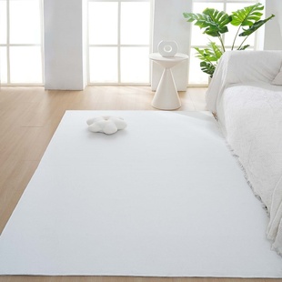 白色直播间背景地毯网红主播背景无脚印民宿禅房鞋店橱窗展柜垫子