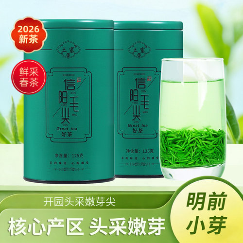 信阳毛尖2026新茶明前头采芽250g