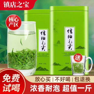 毛尖茶叶绿茶信阳毛尖2025新茶散装 高山嫩芽叶500g雨前浓香型耐泡