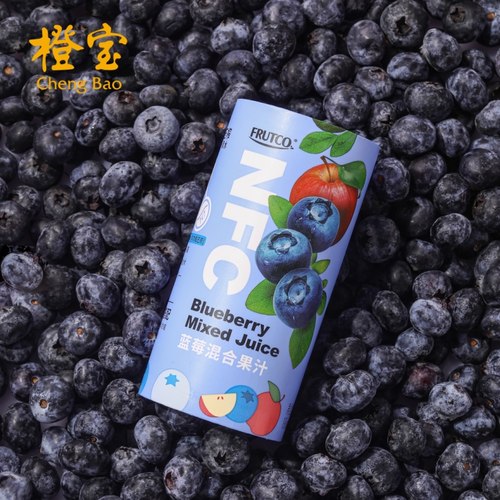 橙宝NFC果汁饮料不加一滴水