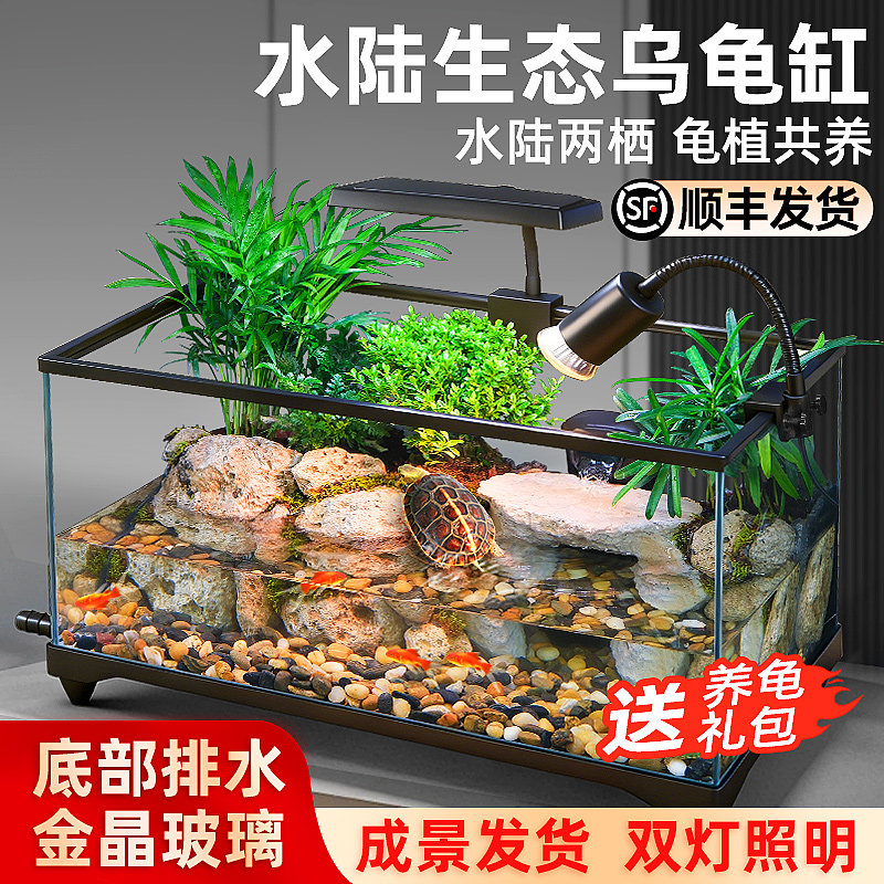 一石一草一涧景成品原生溪流质感图片