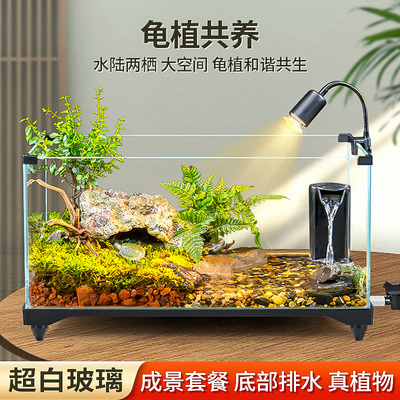 乌龟饲养缸生态造景家用玻璃缸小型别墅水陆两用养乌龟专用缸鱼缸