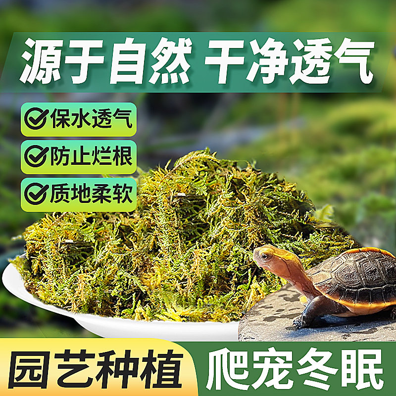 爬宠垫材干苔藓青苔兰花种植冬眠图片