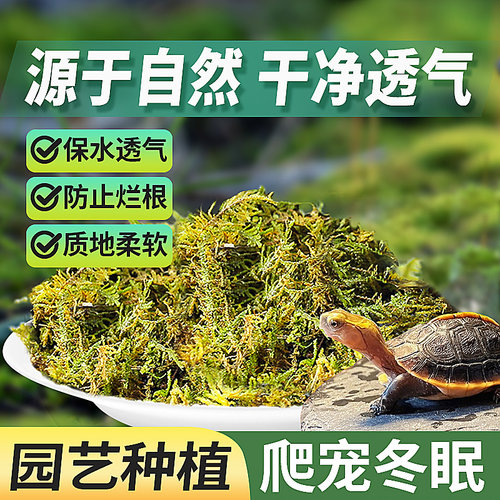 爬宠垫材干苔藓青苔兰花种植冬眠