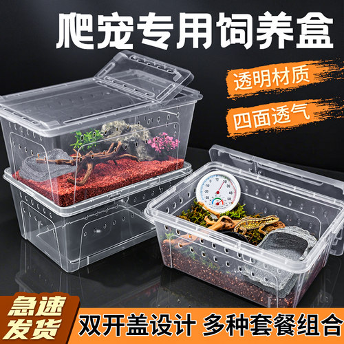 爬虫饲养盒角蛙蜘蛛寄居蟹盒子