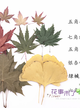 秋叶集干花真树叶贴画枫叶银杏儿童手工书签卡片明信片植物标本