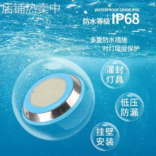 LED挂壁式 泳池灯水下灯水池景观灯水底灯12W18W池底壁灯水景灯X20