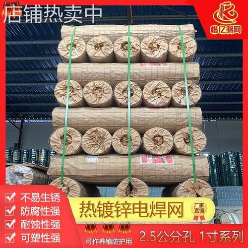 电焊网家用养殖铁丝网建筑外墙保温抹墙网镀锌电焊网地暖桥梁网片