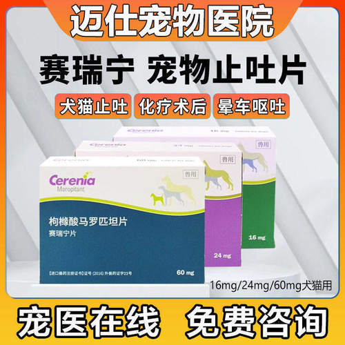 粉丝福利ID仅限购买一份