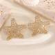 时尚 气质镂空金属电镀镶钻海星耳环夸张水钻星星跨境耳钉女士厂家