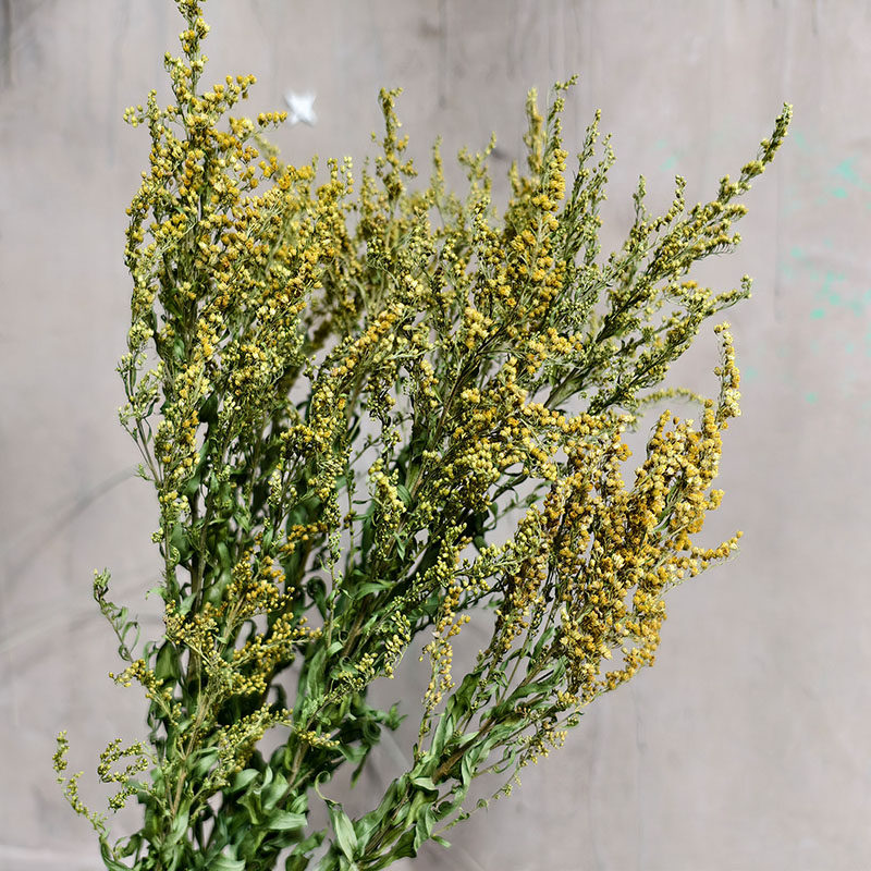 乙木繁花永生黄莺草配草天然植物干花艺桌面百搭真花餐厅装饰永生,家居饰品,干花/花瓣/干花包/干树枝,淘宝优惠券,粉丝福利购,淘宝优惠卷