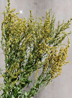 乙木繁花永生黄莺草配草天然植物干花艺桌面百搭真花餐厅装饰永生