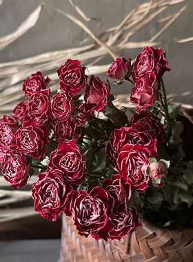 云南多头小玫瑰干花花束真花BIY花材家居装饰文艺清新摄影道具