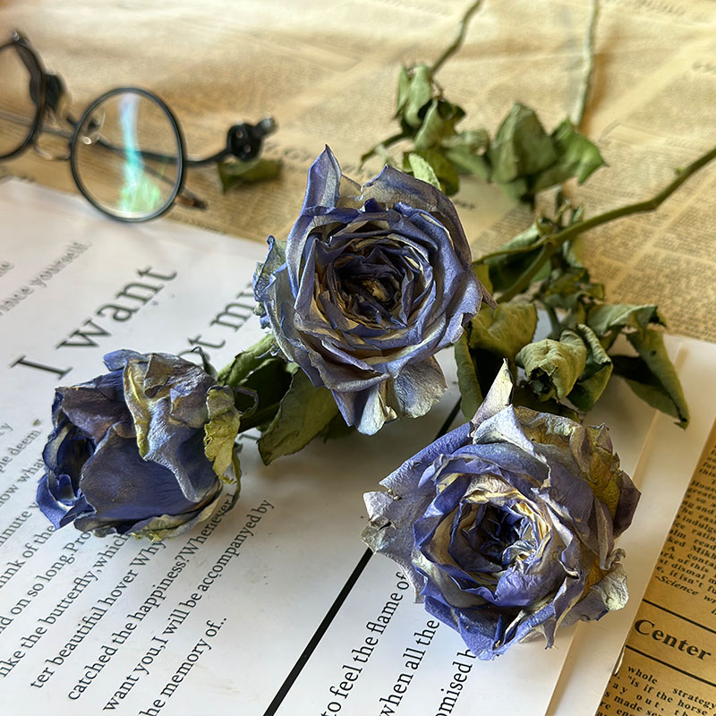 掬古干花花束习4送1复古文艺