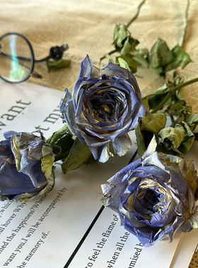 喷色玫瑰干花花束家居软装创意相框玫瑰DIY材料拍照道具插花复古