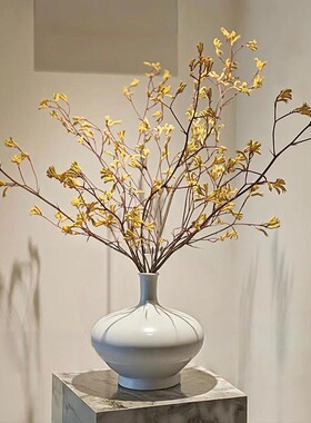 袋鼠爪永生干花真花店幸运陈设