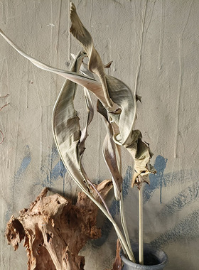 植物小鸟叶干花花束家居民宿软装创意店铺陈列布景装饰摄影道具