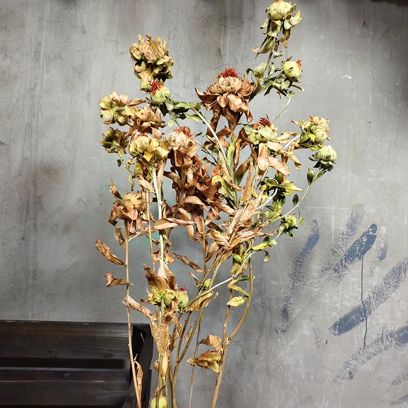 基地天然橙菠萝真花干花束