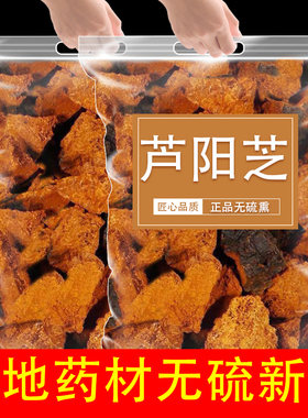 芦阳芝中药材500g正品黄芪红枸杞子组合茶黄氏卢阳之泡茶泡水喝