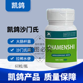 凯鸽沙门氏鸽药胶囊信鸽子药大全大肠杆菌赛鸽常见病专用肠道凯哥