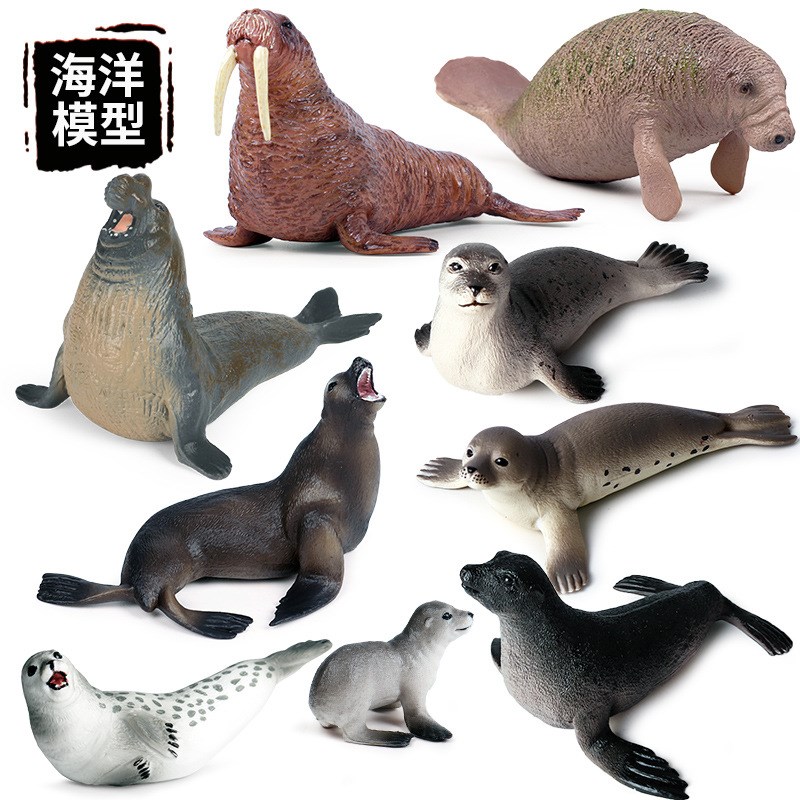 仿真海洋动物模型静态实心