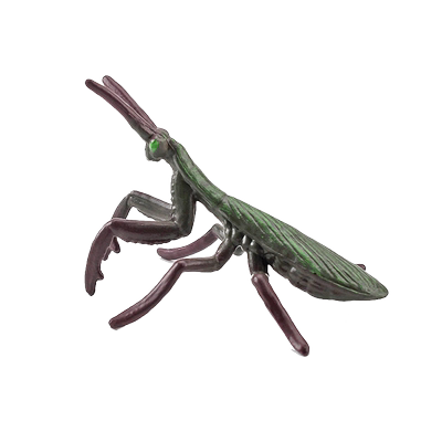 微景观模型玩具摆件昆虫世界迷你