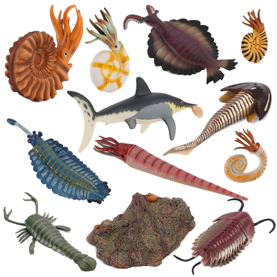 海洋生物模型玩具环保塑胶材质