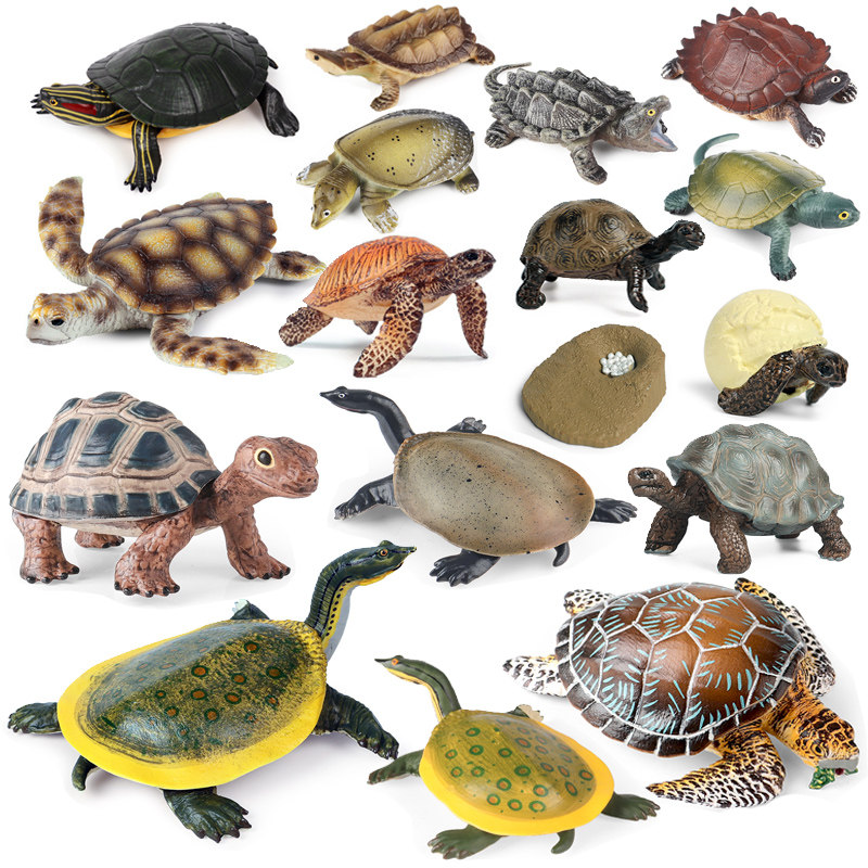 仿真甲鱼模型两栖动物玩具大海龟陆龟乌龟巴西龟草龟鳄鳖儿童摆件,玩具/童车/益智/积木/模型,仿真/动物玩偶,淘宝优惠券,粉丝福利购,淘宝优惠卷