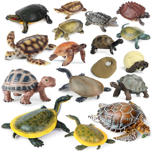 仿真甲鱼模型两栖动物玩具大海龟陆龟乌龟巴西龟草龟鳄鳖儿童摆件