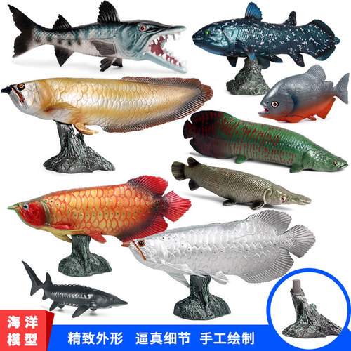仿真鱼模型玩具实心塑胶材质