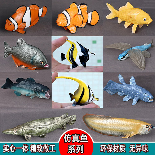 热带鱼模型价格_热带鱼模型图片- 星期三