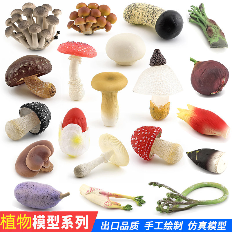 仿真真菌蘑菇模型香菇白毒鹅膏菌真姬菇松茸竹笋毒绳伞摄影道具