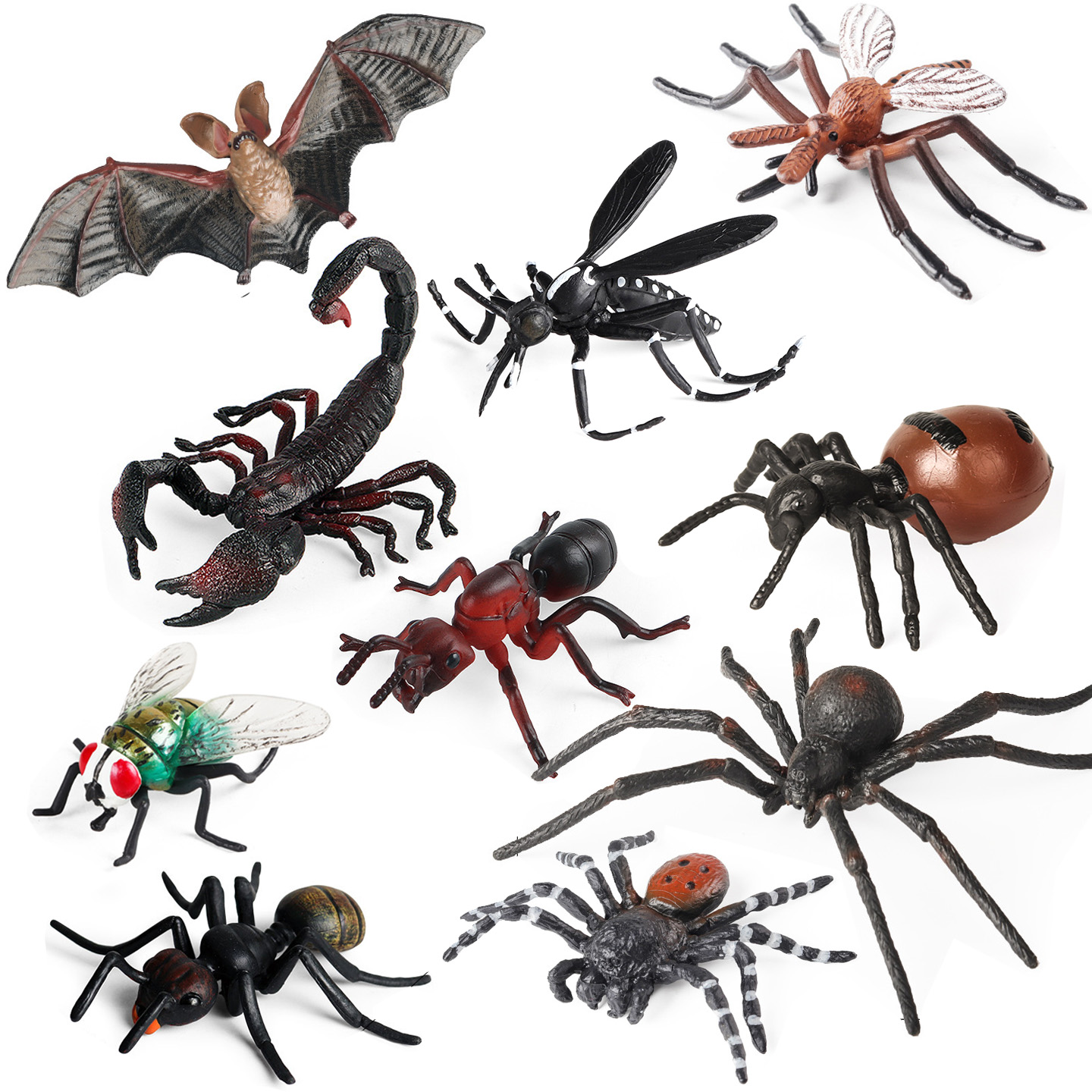 儿童认知仿真昆虫模型动物玩具蚊子蚂蚁蝎子苍蝇蜘蛛螳螂蜈蚣蝙蝠
