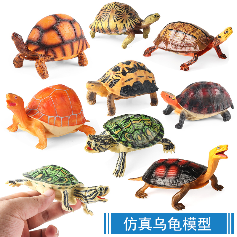 儿童仿真动物模型巴西龟安缘黄缘白化龟陆龟乌龟海龟鳄龟玩具摆件