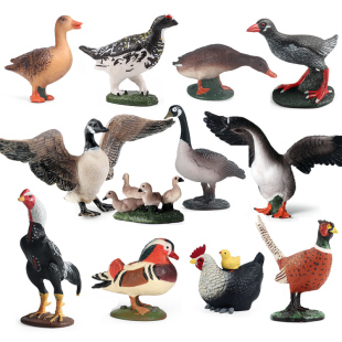 儿童农场家禽模型玩具野鸡灰鹅白鸭子鸟鸳鸯秧鸡斗鸡认知场景摆件