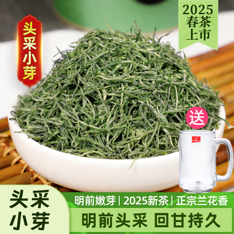 靜香信陽毛尖明前特級嫩芽250g