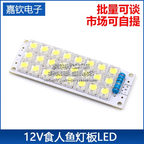 24颗食人鱼LED12V高亮节能灯