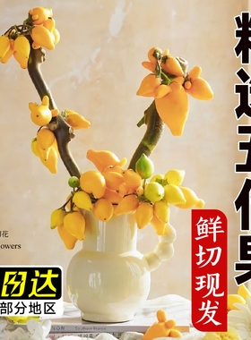 黄金五代果鲜切枝支五代同堂果观赏插花束鲜花卉水培办公室内桌面